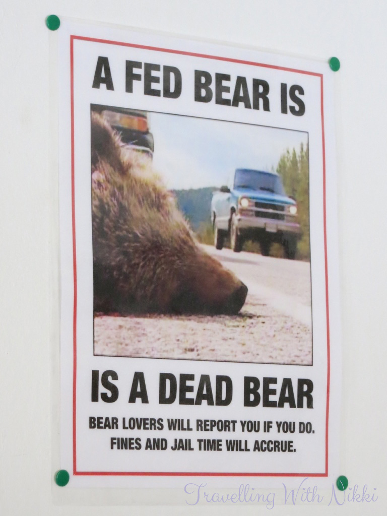 AvisSkagwayCarRental4