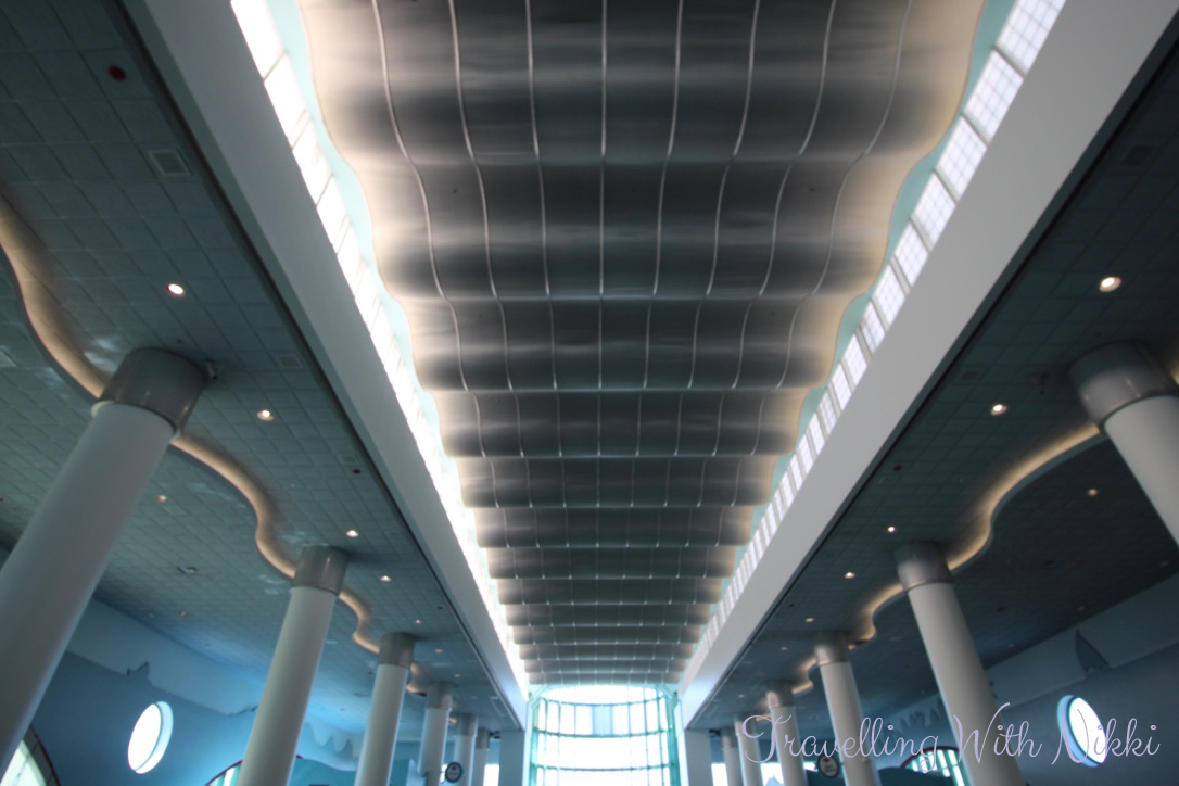 disneydreamhalloweenonthehighseasdayoneportcanaveral15