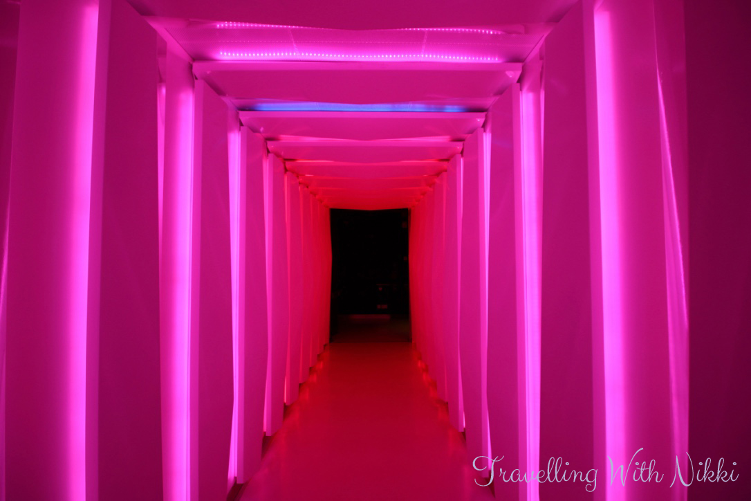 disneydreamhalloweenonthehighseasdayoneportcanaveral50