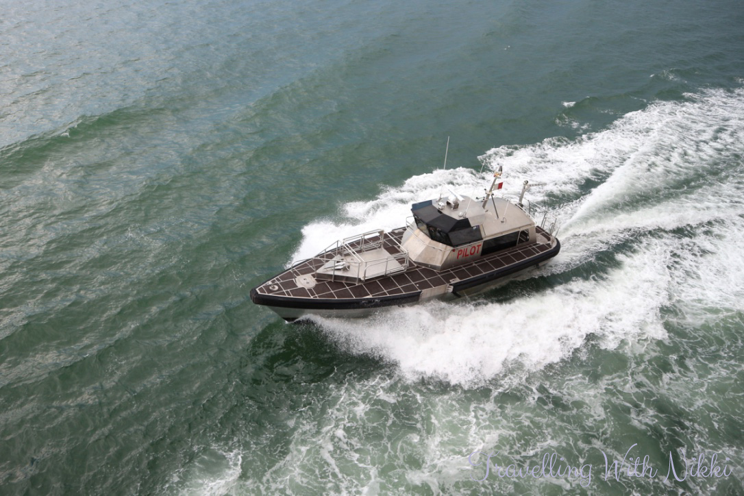 disneydreamhalloweenonthehighseasdayoneportcanaveral56