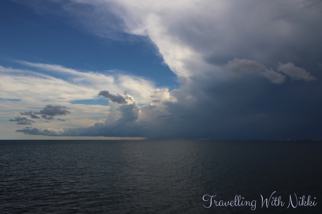 disneydreamhalloweenonthehighseasdayoneportcanaveral58