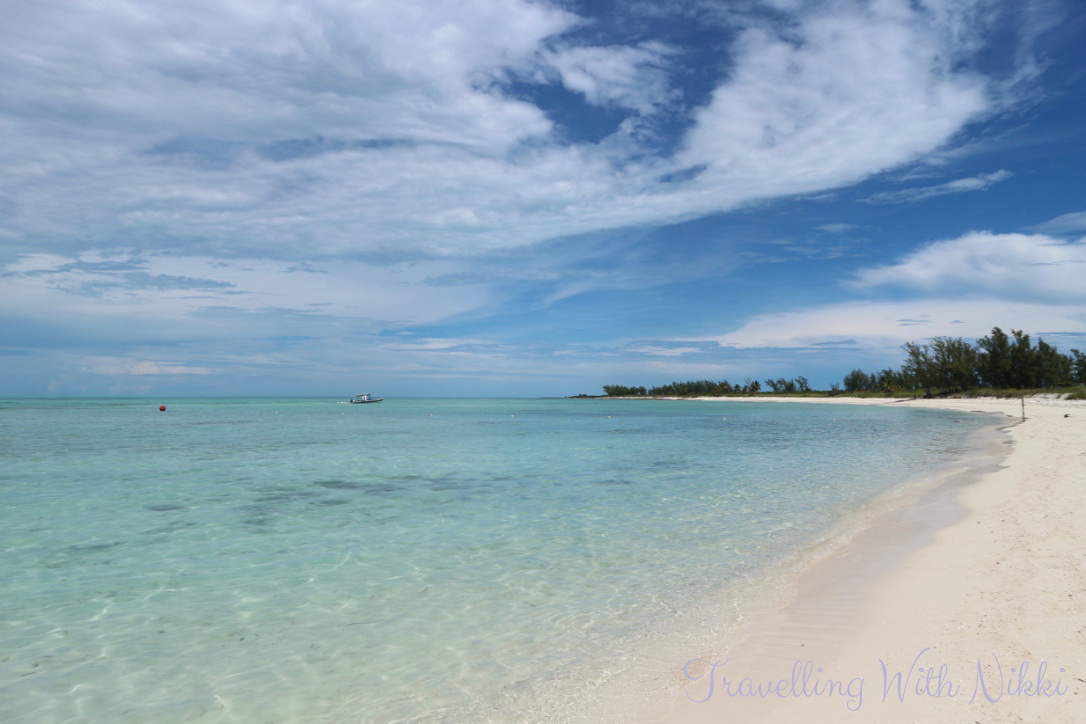 disneydreamhalloweenonthehighseasdaythreecastawaycay21