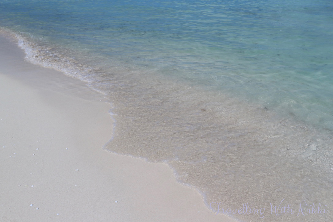 disneydreamhalloweenonthehighseasdaythreecastawaycay22