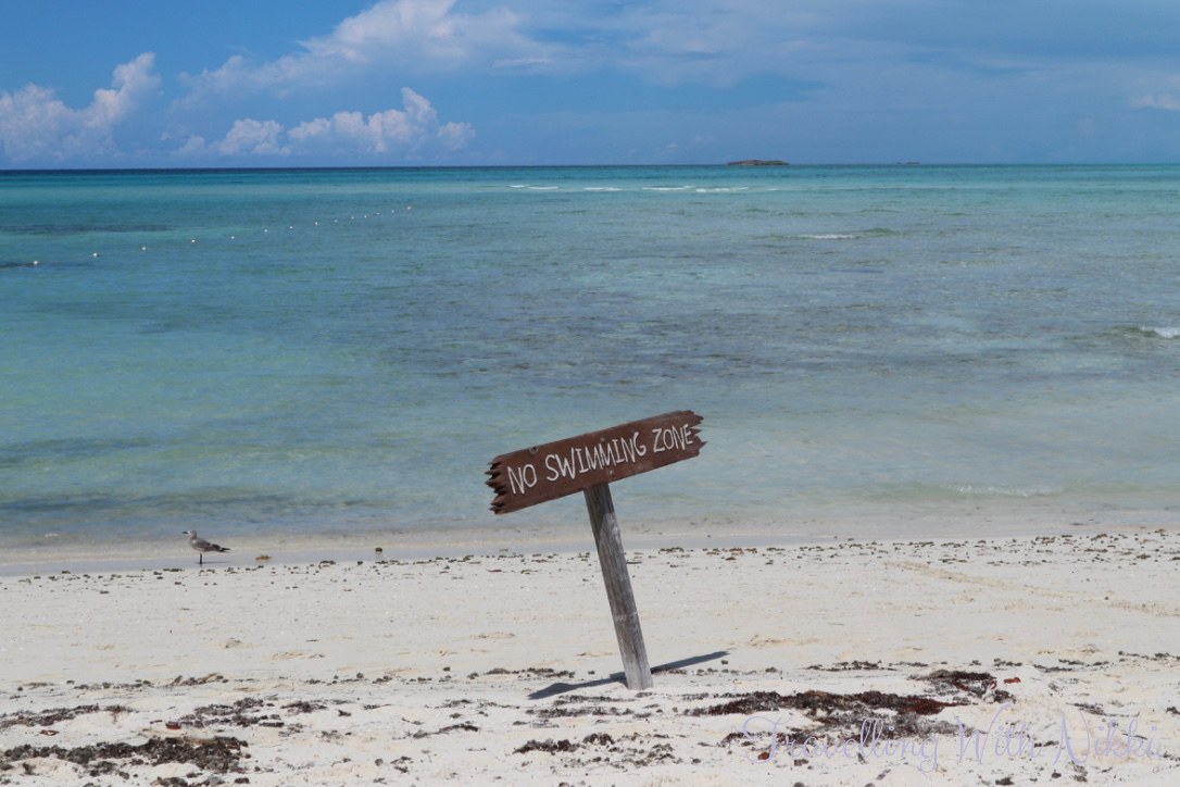 disneydreamhalloweenonthehighseasdaythreecastawaycay24