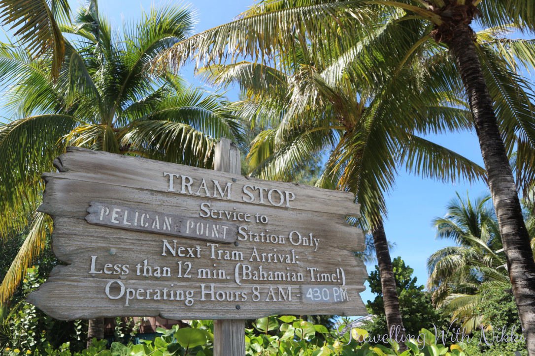 disneydreamhalloweenonthehighseasdaythreecastawaycay26