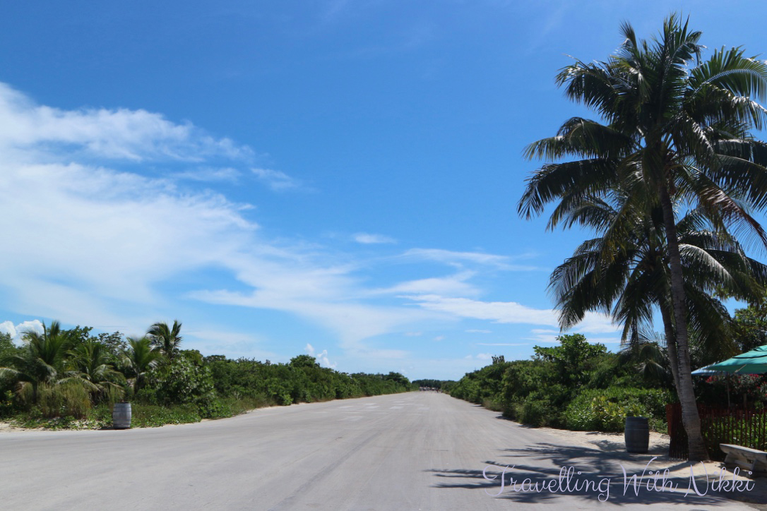 disneydreamhalloweenonthehighseasdaythreecastawaycay27