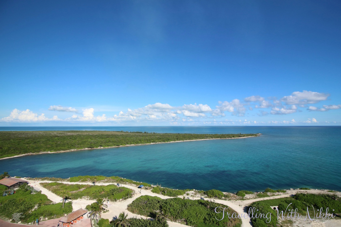 disneydreamhalloweenonthehighseasdaythreecastawaycay44