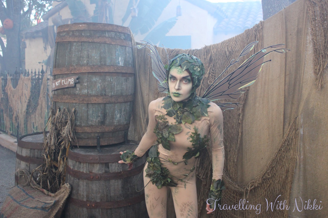 DisneyMagicTransatlanticPostCruiseFlorida26