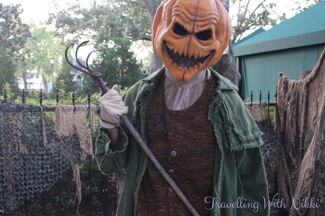 DisneyMagicTransatlanticPostCruiseFlorida27