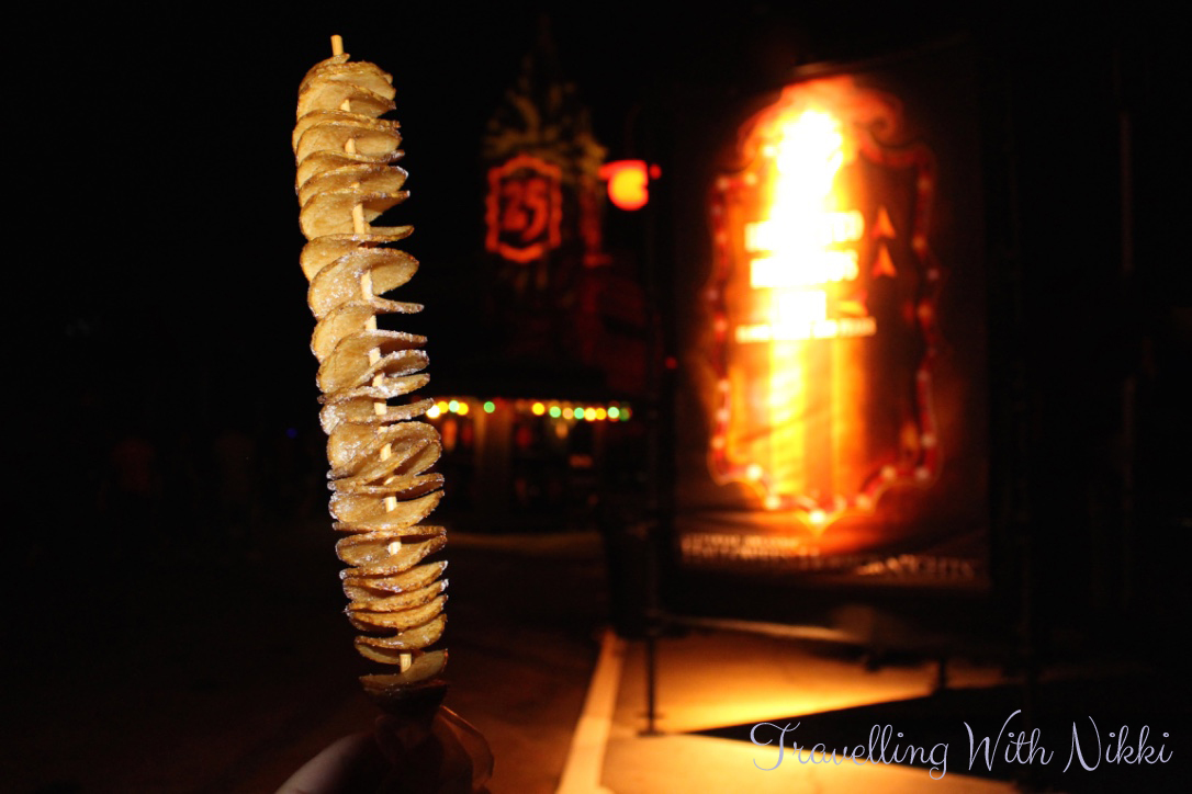 DisneyMagicTransatlanticPostCruiseFlorida35