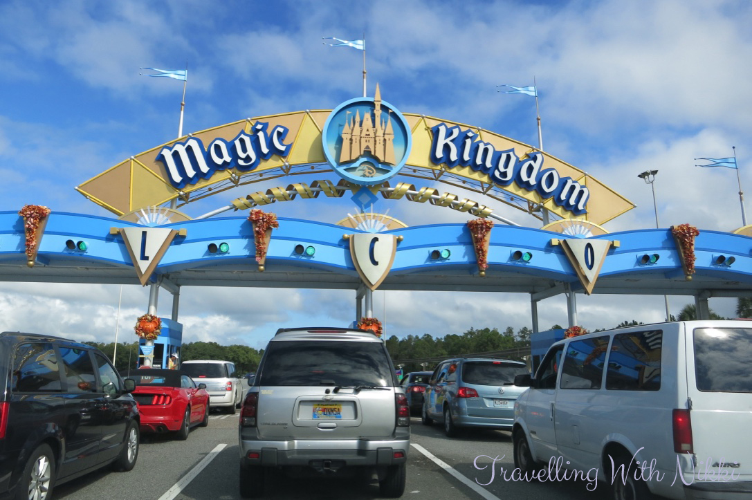 DisneyMagicTransatlanticPostCruiseFlorida38