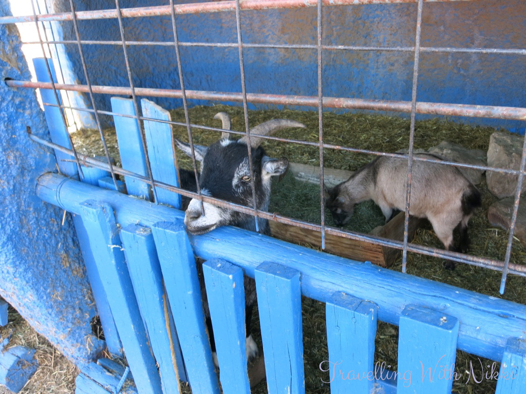 FlintstonesBedrockCityValleArizona16