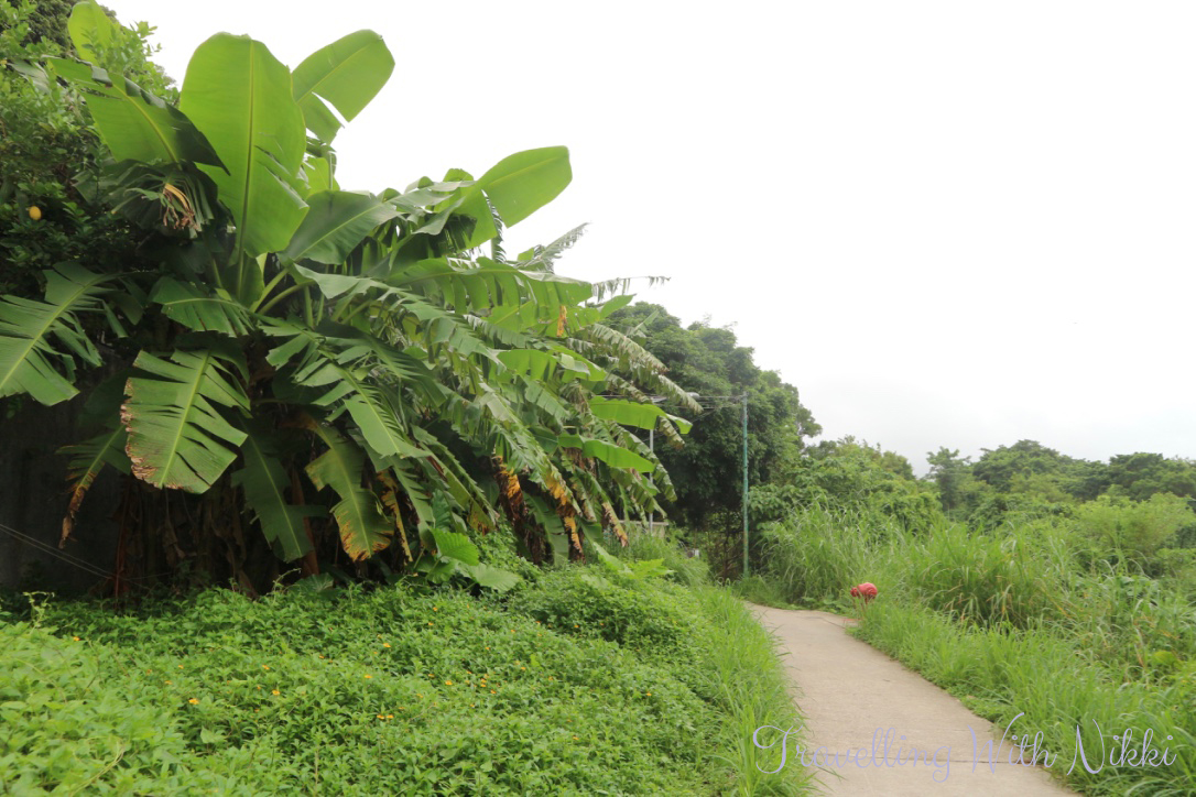 lammaislandfamilytrail22