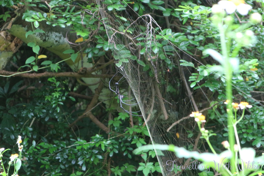 lammaislandfamilytrail24