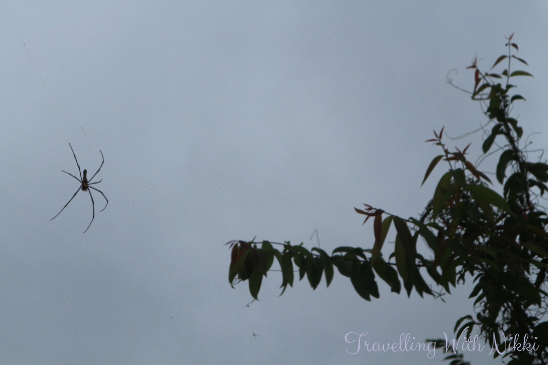 lammaislandfamilytrail30