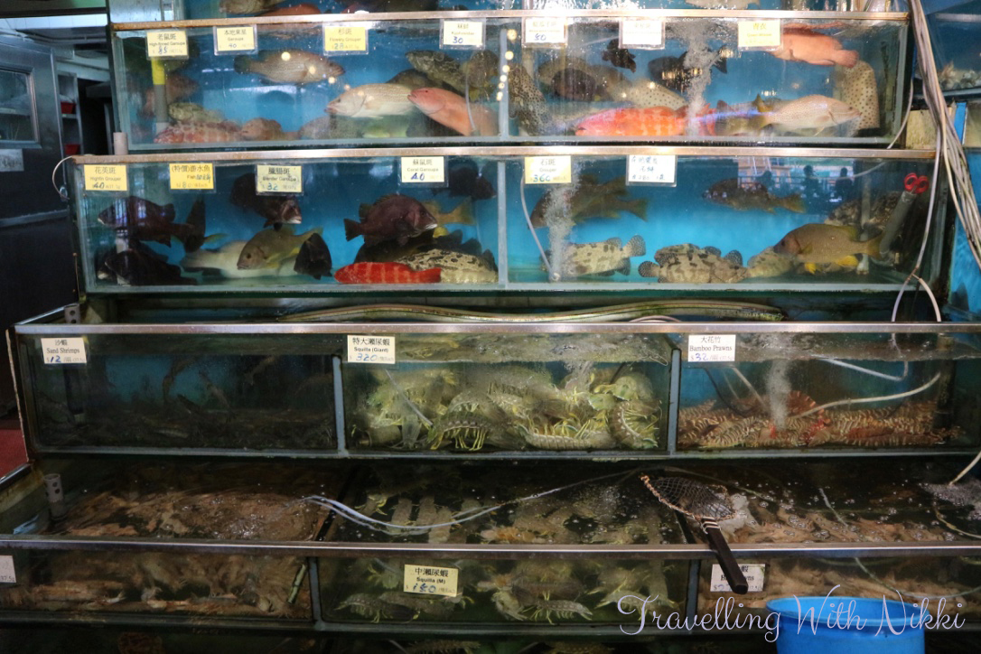 lammaislandfamilytrail46